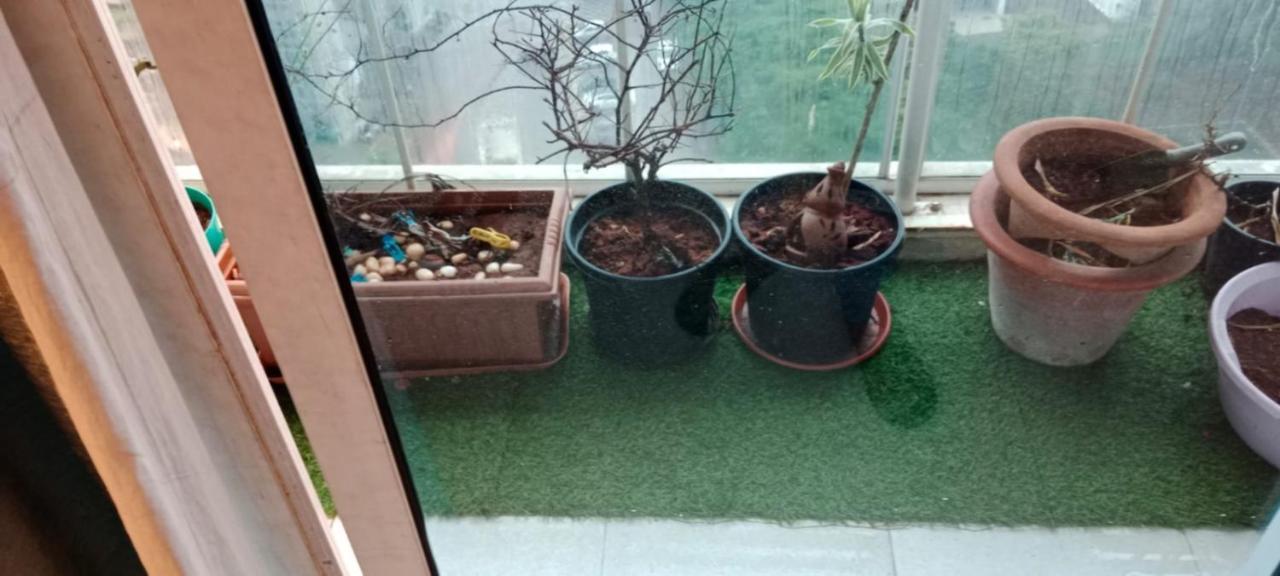 Guest house Royal Nest Premium-as